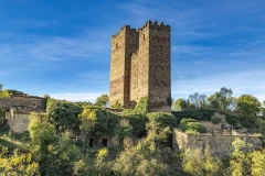 IMG_6370 - Torres del castillo de Ruesta