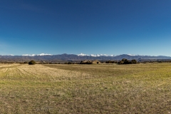 IMG_7551-Pano