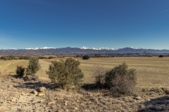 IMG_7573-Pano